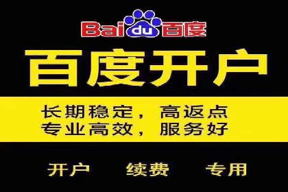 某行业巨头托管竞价sem的胜利之路